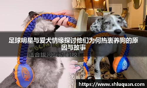 足球明星与爱犬情缘探讨他们为何热衷养狗的原因与故事